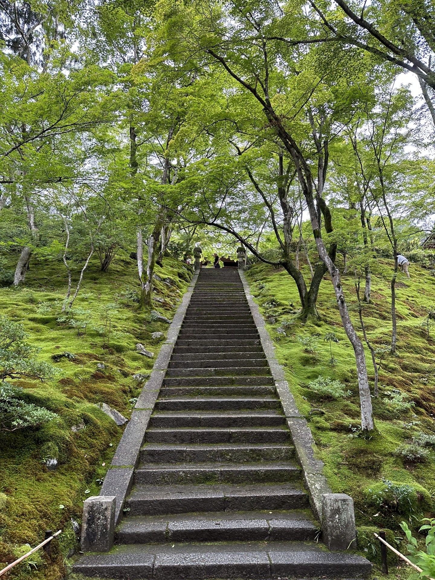 日本自助遊攻略