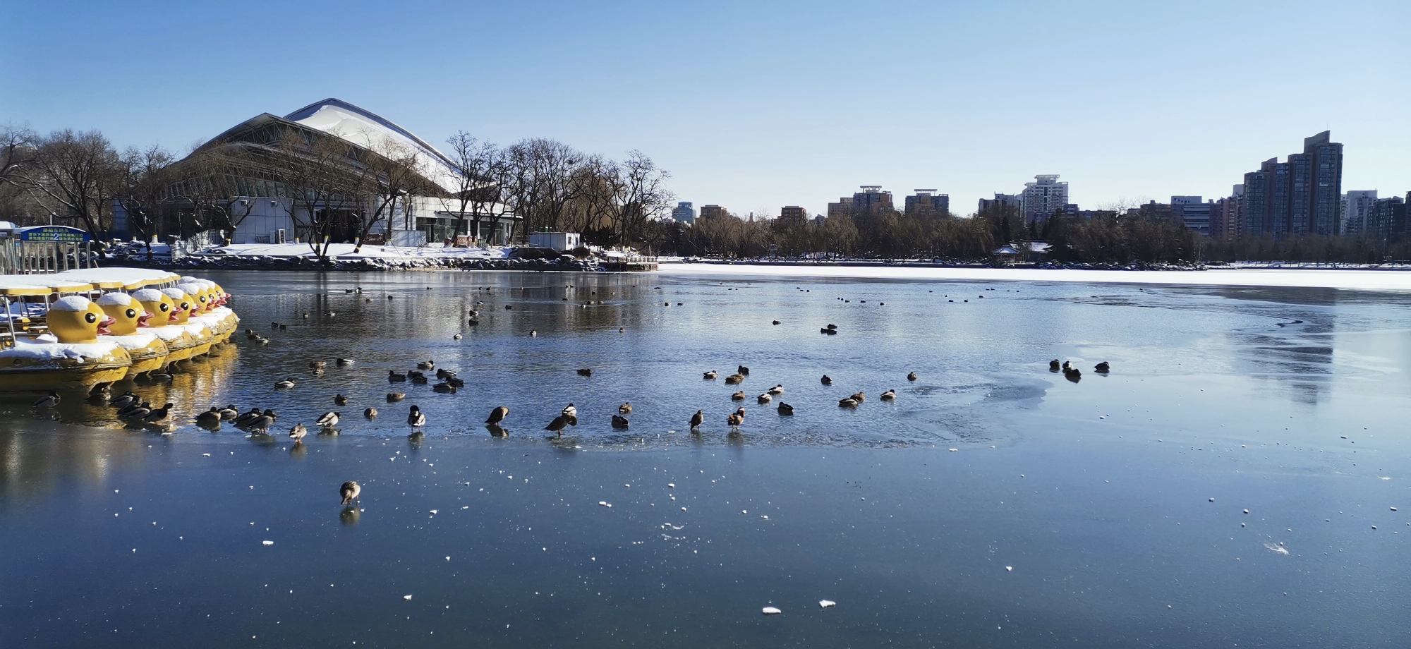 北京娱乐-龙潭公园中心岛剧场