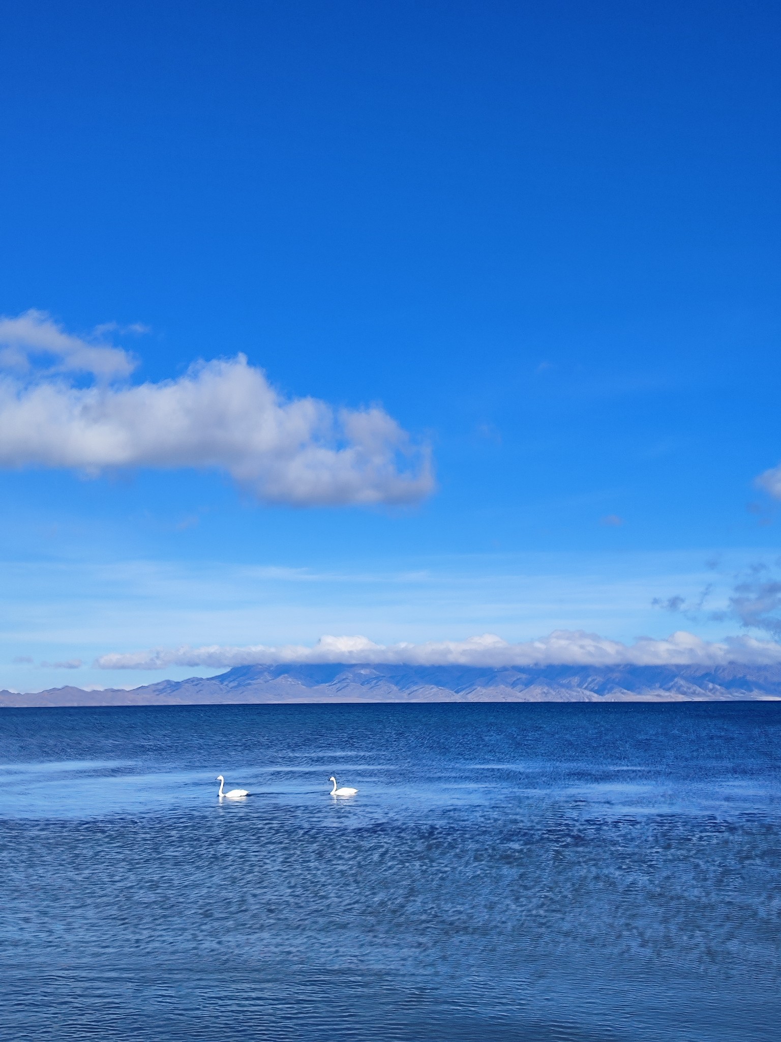 赛里木湖蓝,琼库什台绿——新疆的塞外江南!,伊犁自助游攻略 - 马蜂窝