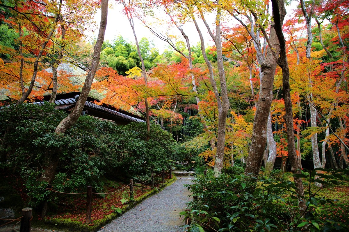 京都自助遊攻略