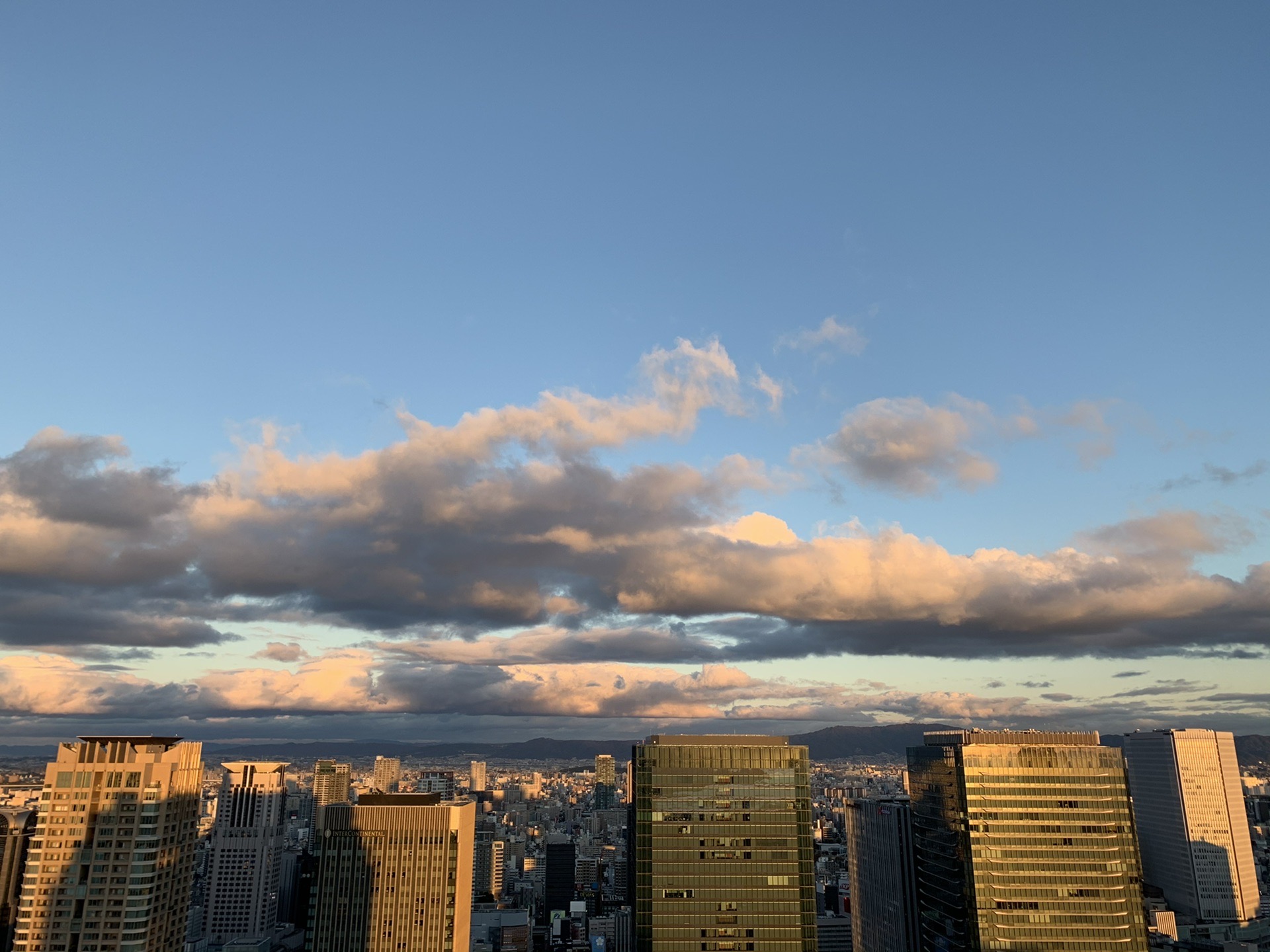 京都自助遊攻略