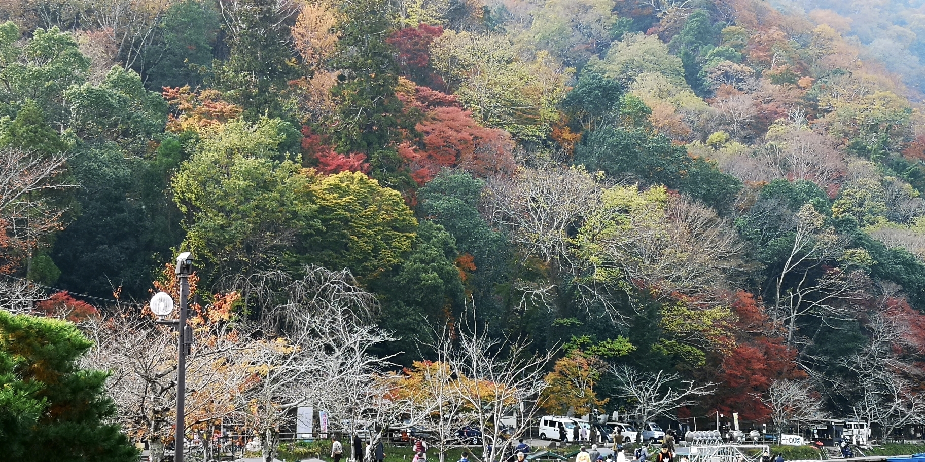 京都自助遊攻略