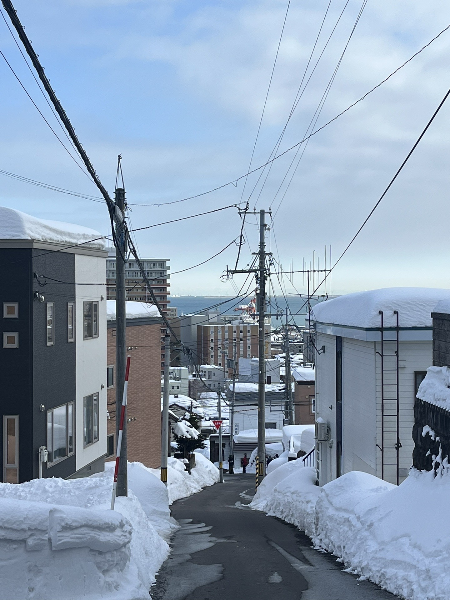 北海道自助遊攻略