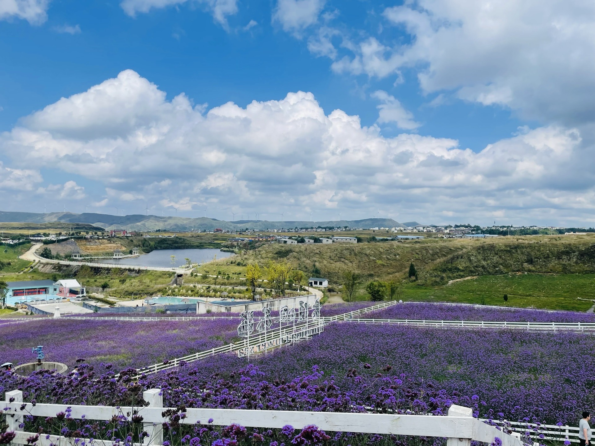 8月请你来贵阳高坡云顶花海