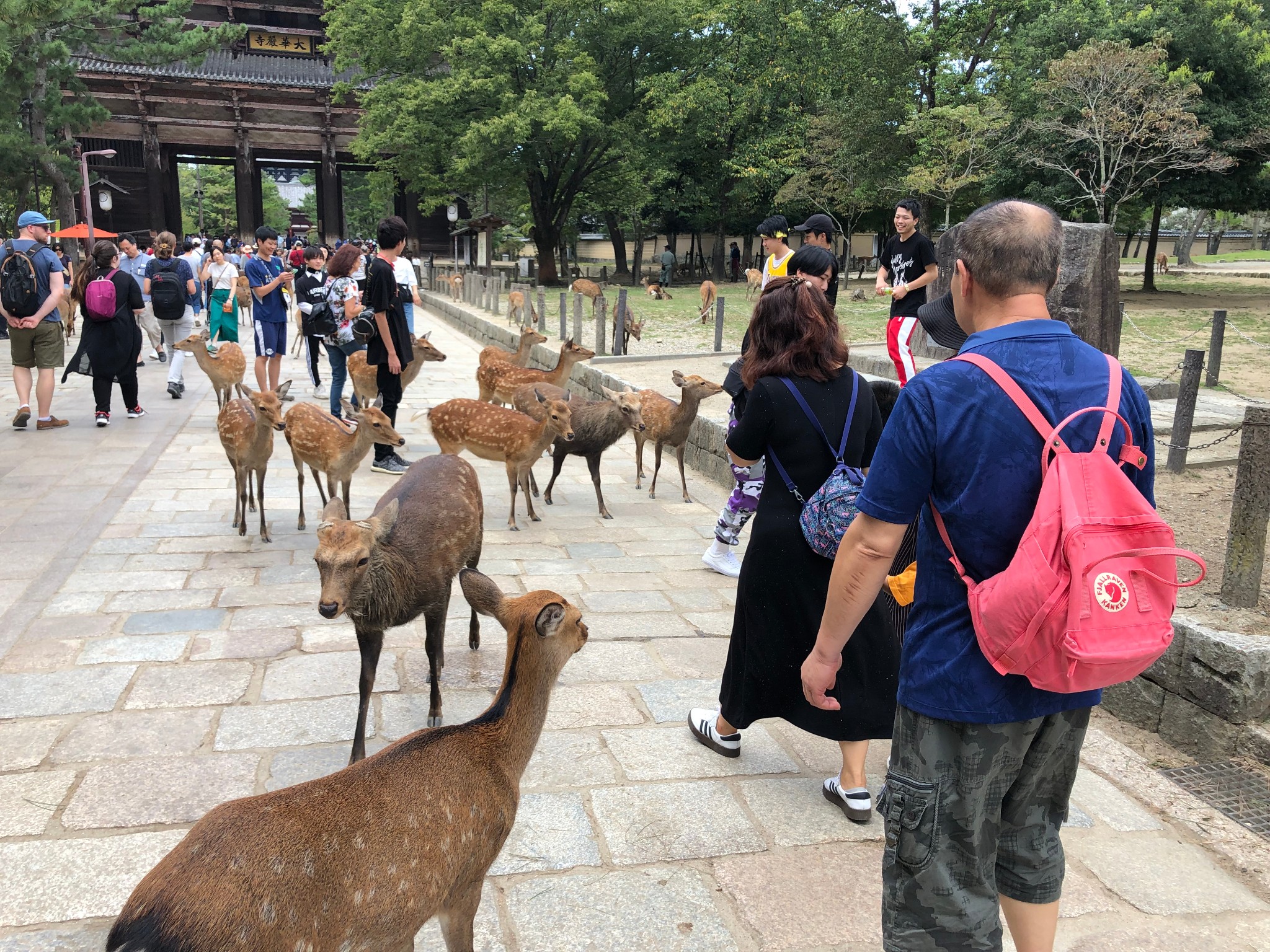 大阪自助遊攻略