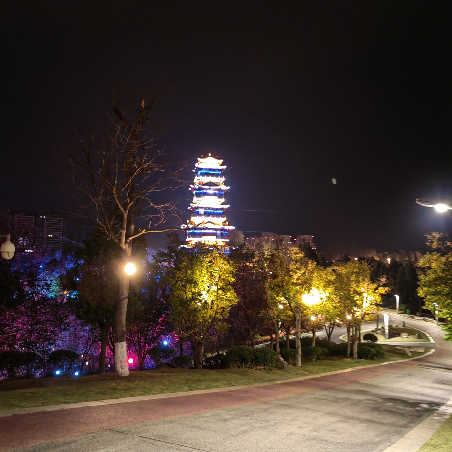 简阳鳌山公园夜景图片