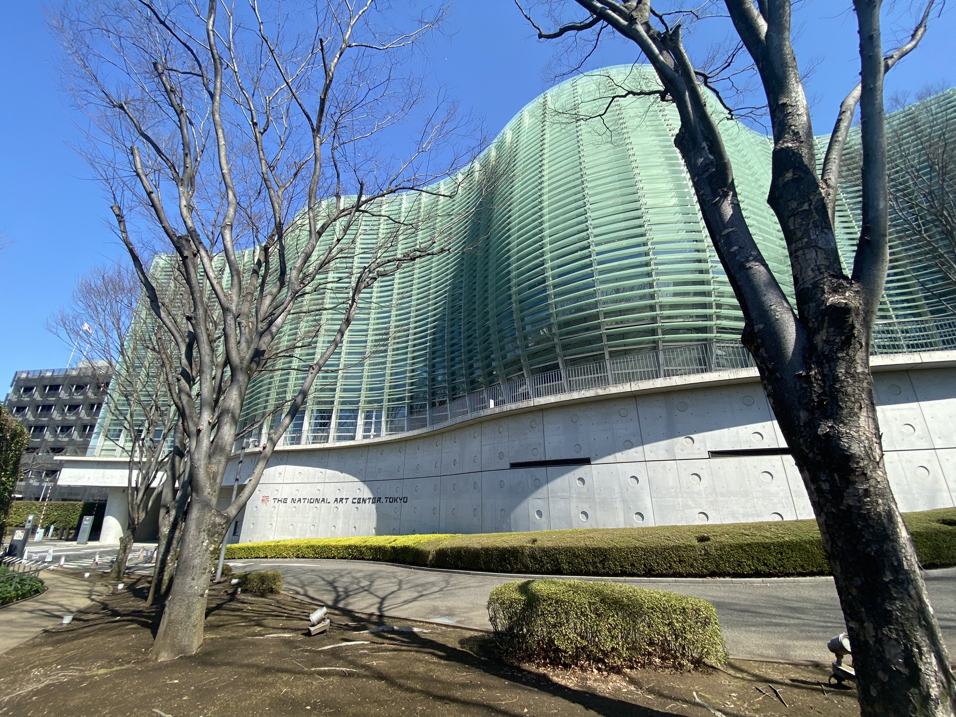 日本特种兵穷游day310国立美术馆涩谷新宿歌舞伎町