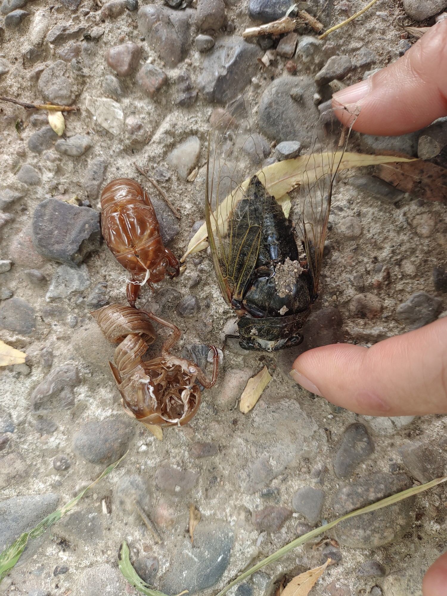 20220730承德县滴水崖