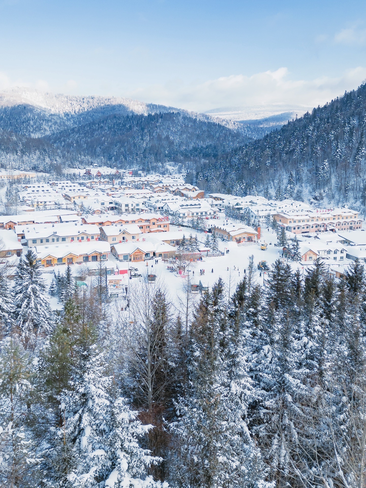 去北国冬季奔赴一场浪漫雪景76哈尔滨亚布力雪乡5天4晚