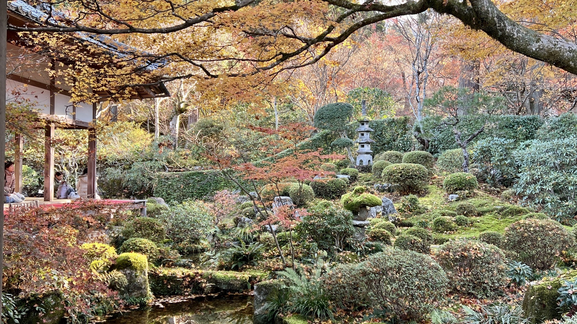 京都自助遊攻略