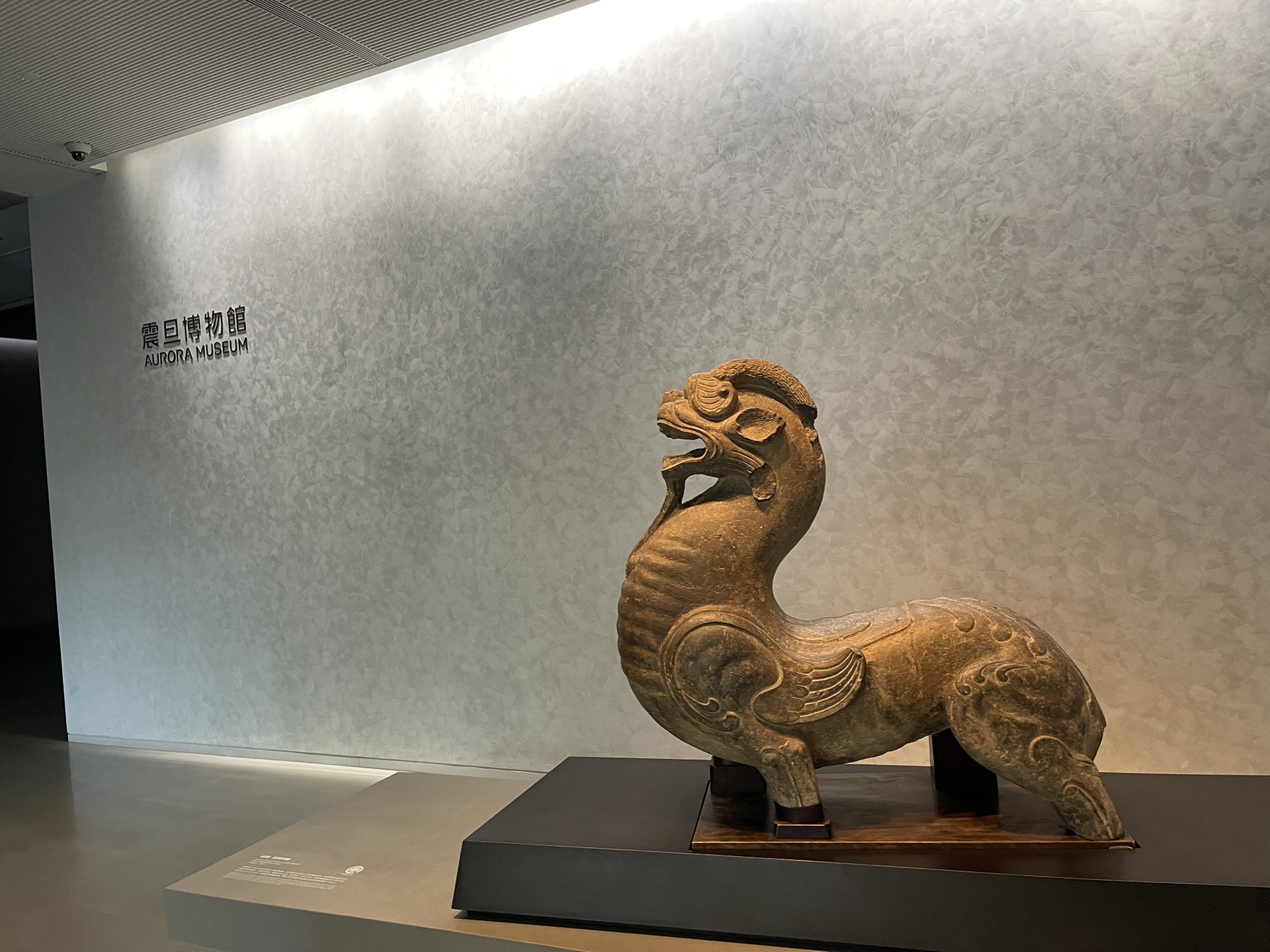 上海震旦博物馆缘起十三邀的关联让我涉足一观