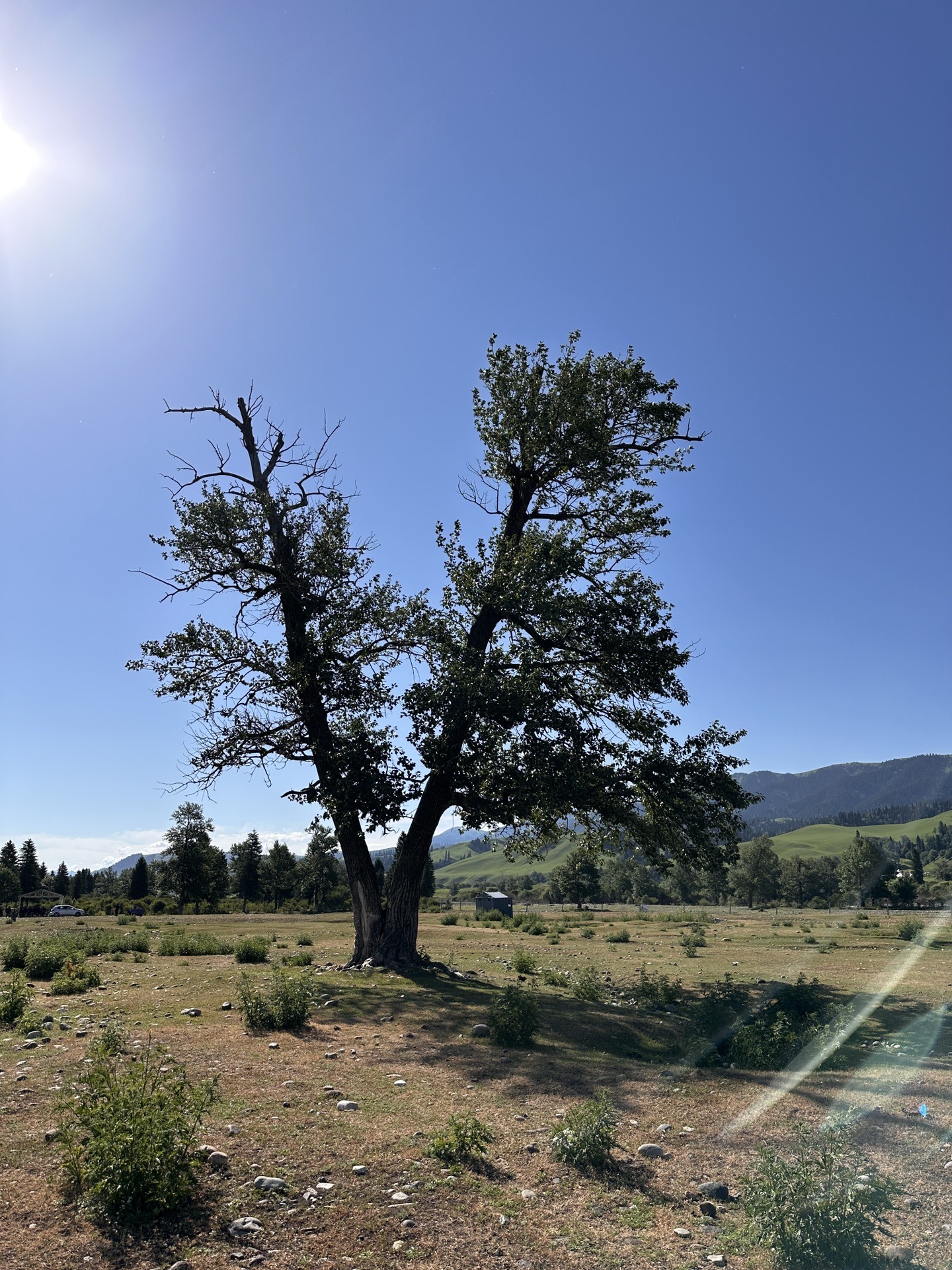 2023年6月南疆行之独库公路中段