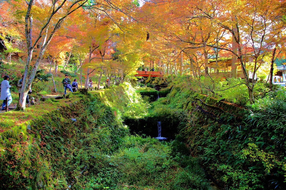 京都自助遊攻略