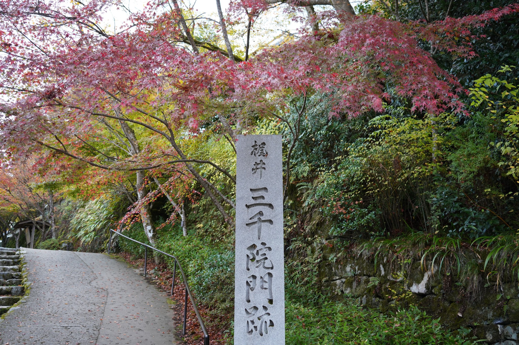 京都自助遊攻略