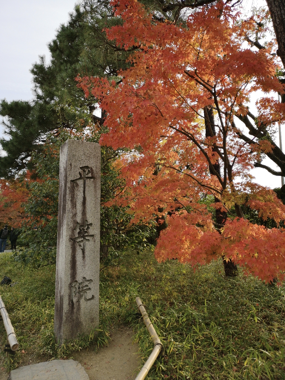 京都自助遊攻略