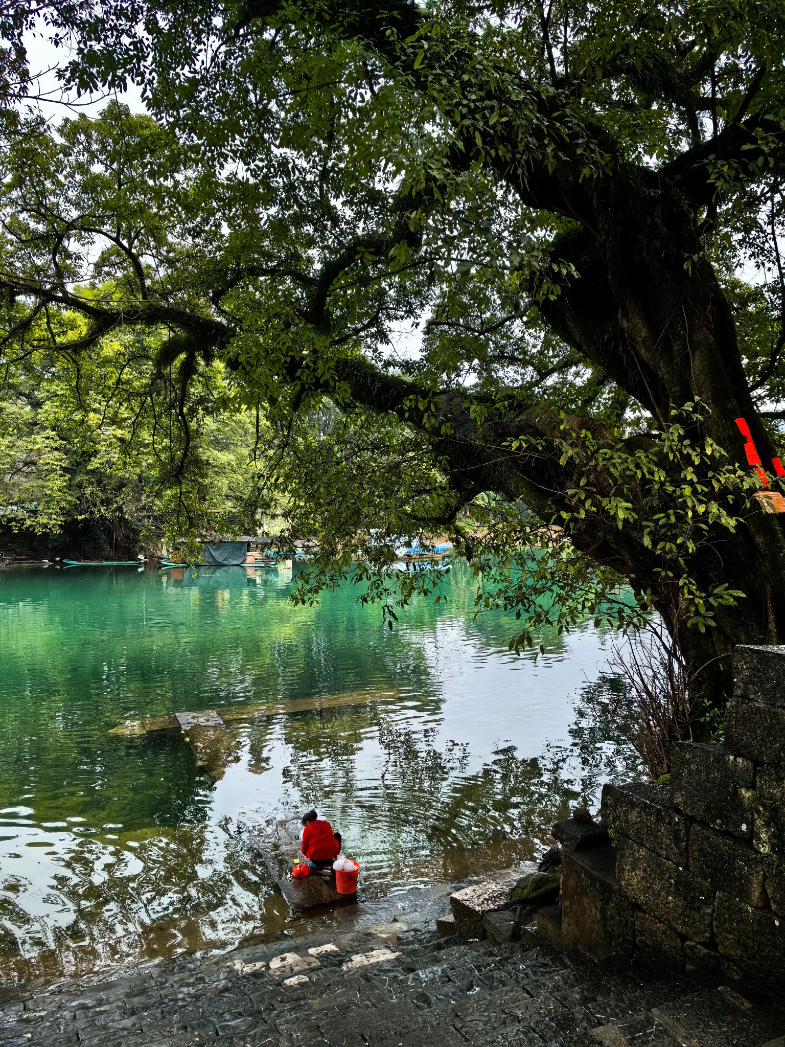 广西柳州鹿寨县,中渡古镇,响水瀑布,鹿鸣谷,香桥岩溶国家地址公园