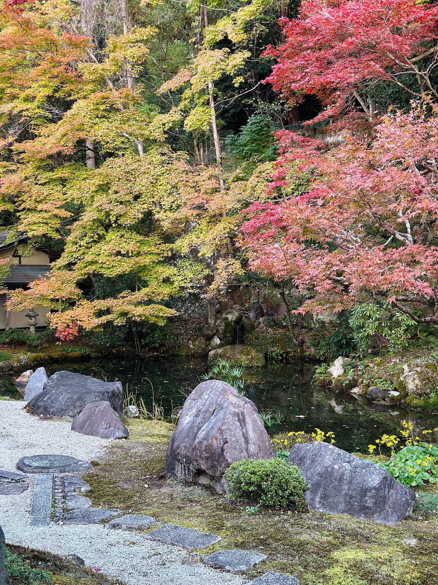 日本自助遊攻略