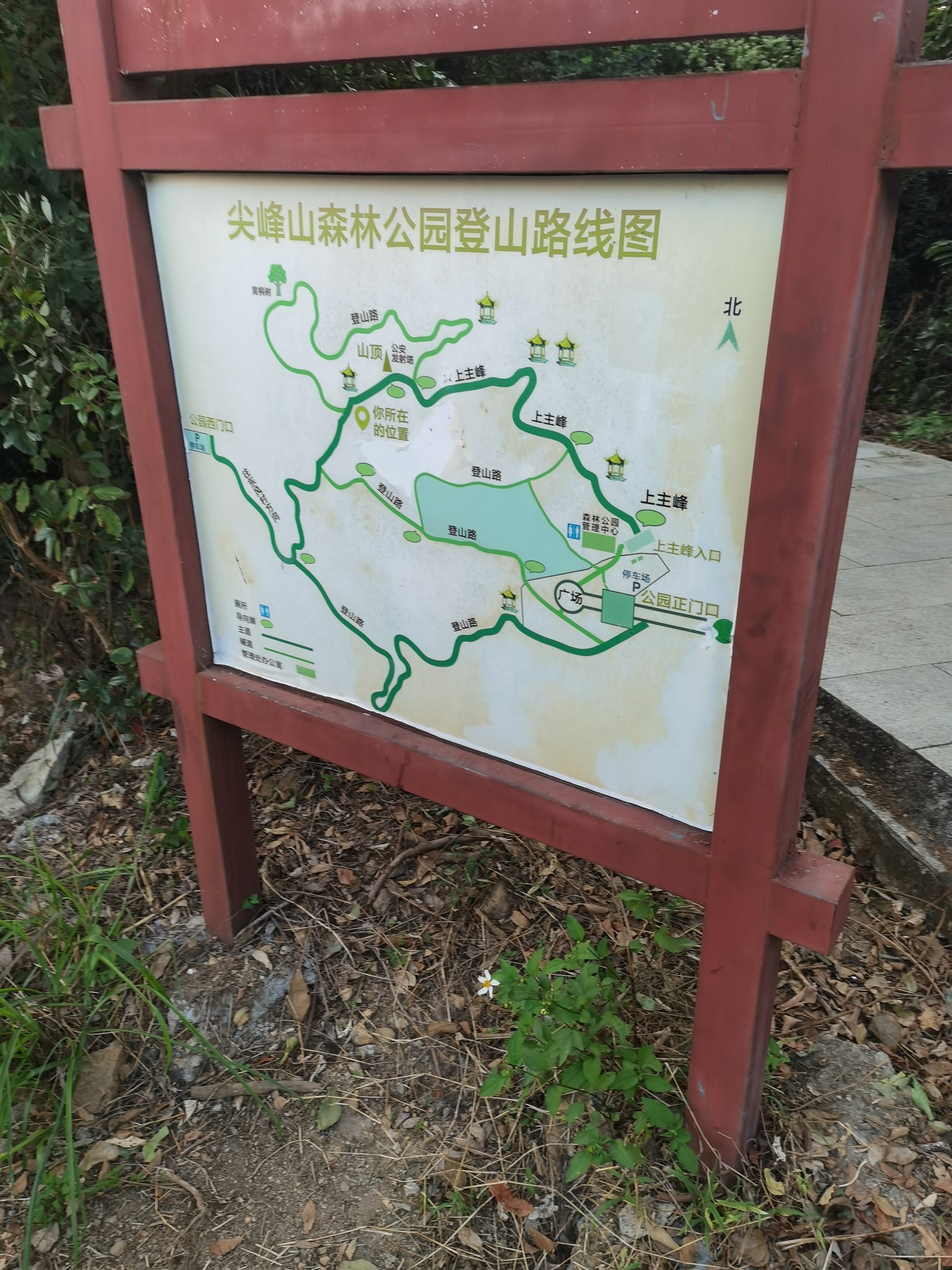 珠海斗门尖峰山公园图片