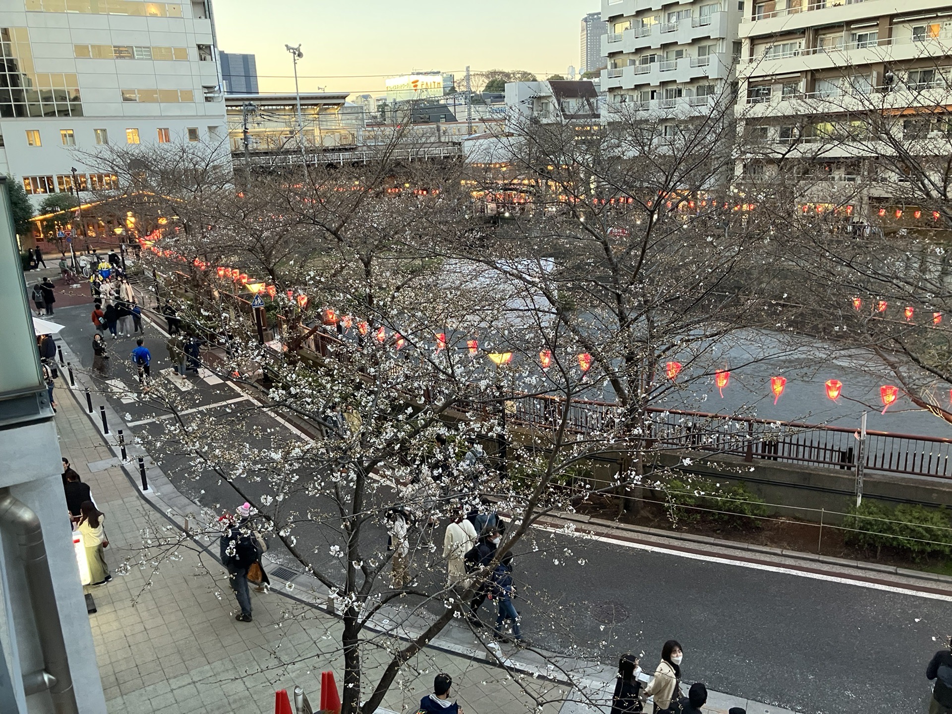 東京自助遊攻略