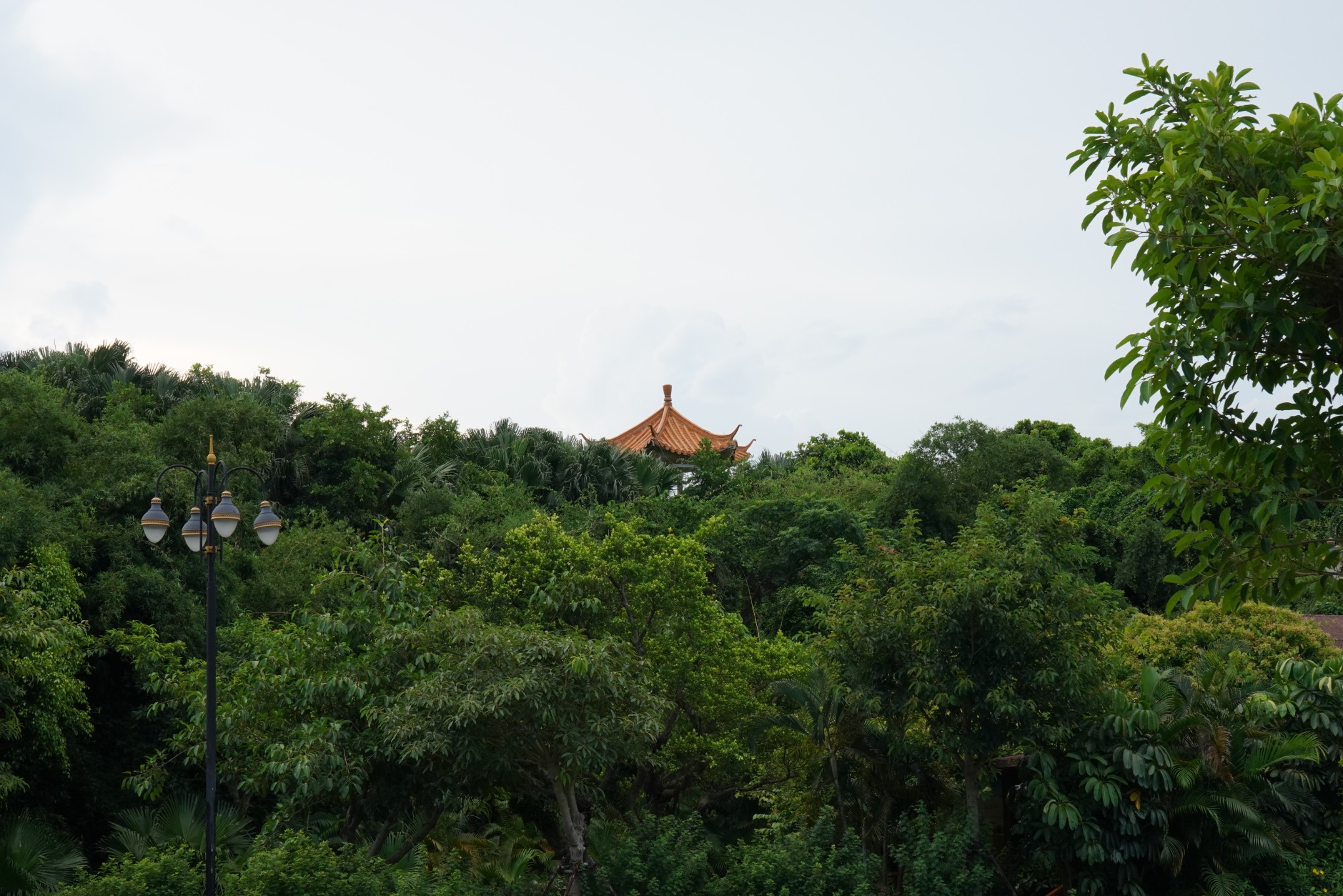 湛江市霞山区公园