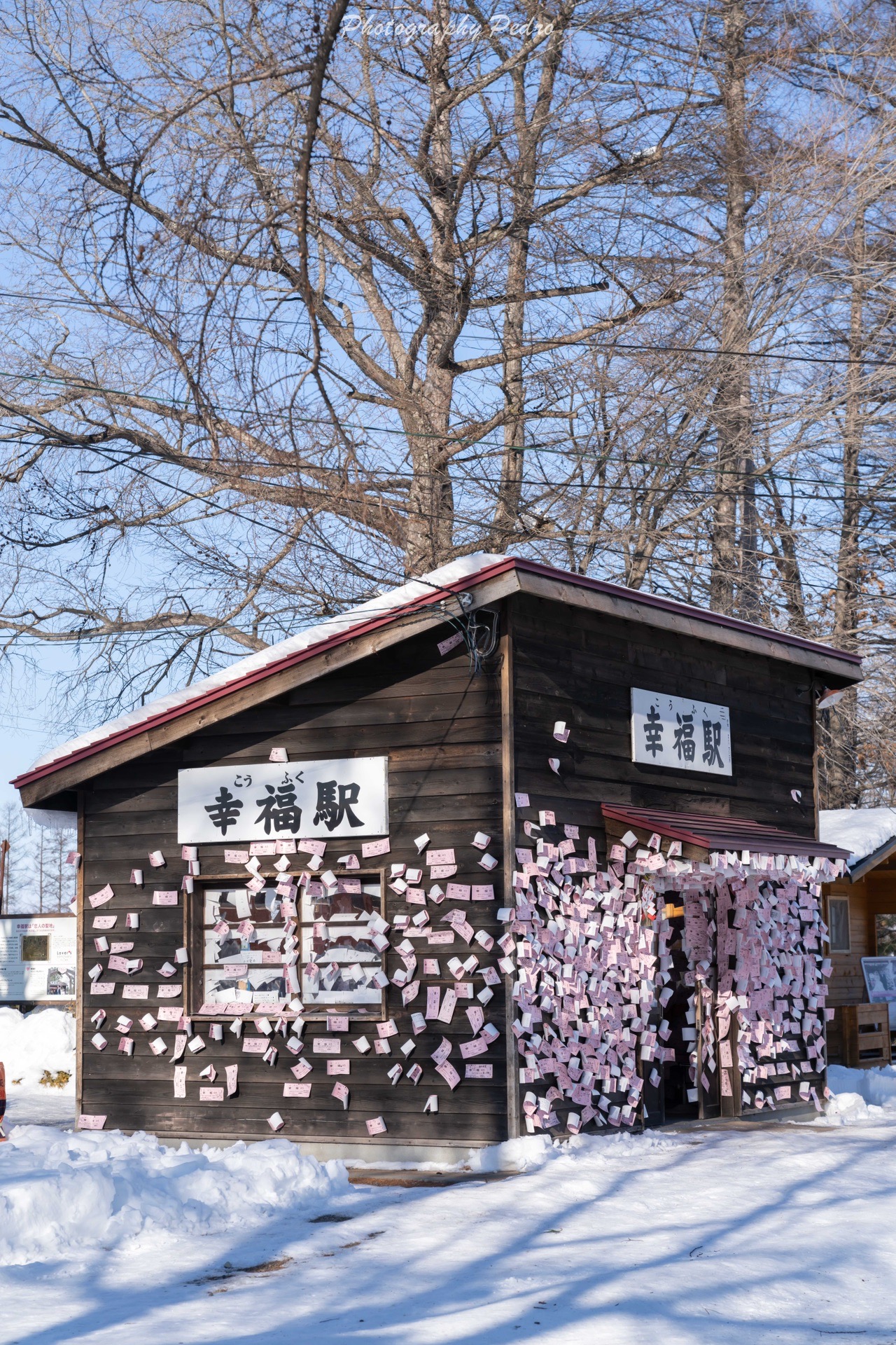 北海道自助遊攻略