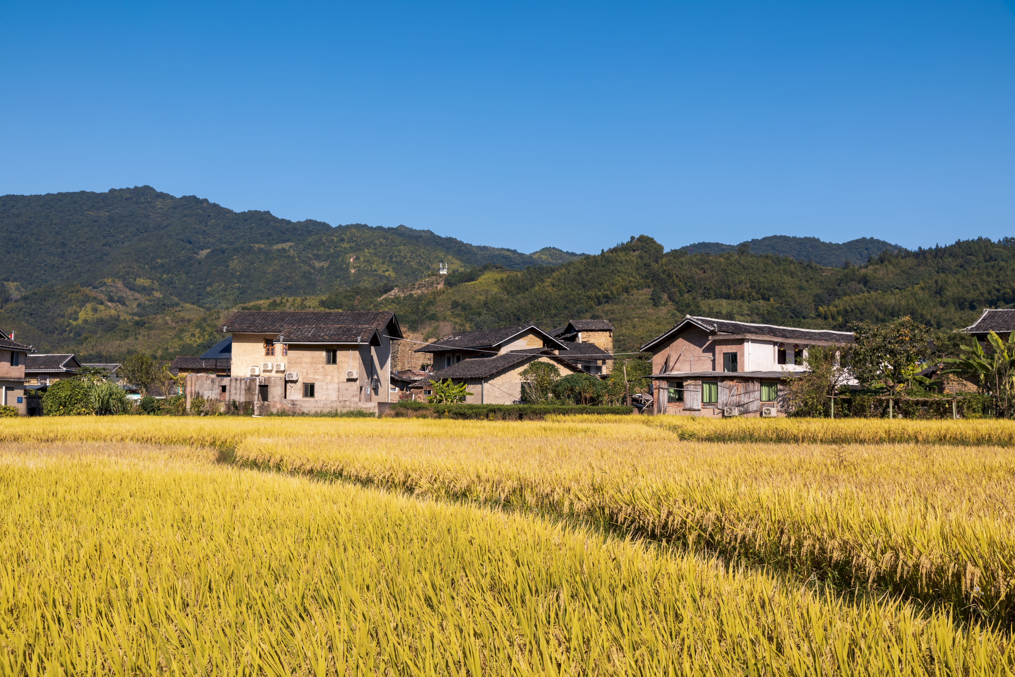 福建自助遊攻略