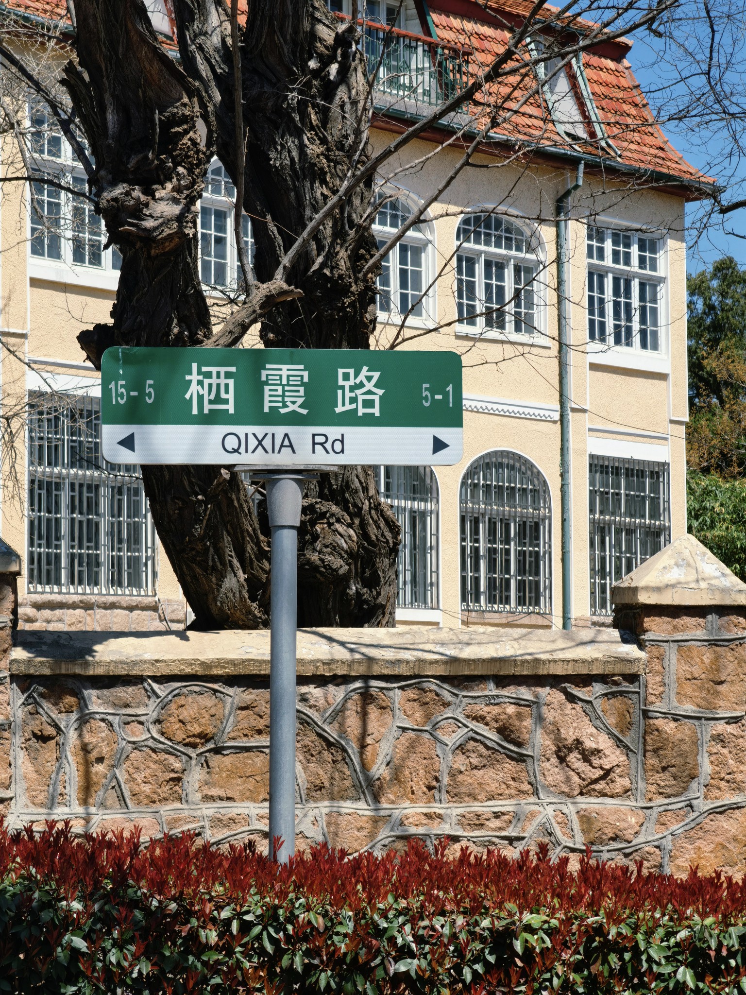 【青岛春日暴走日志】四天三夜：💨吹成海带的我们，与樱花撞个满怀🌸插图101