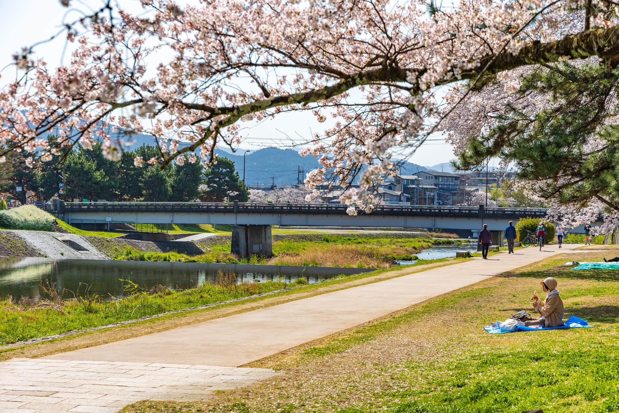 京都自助遊攻略