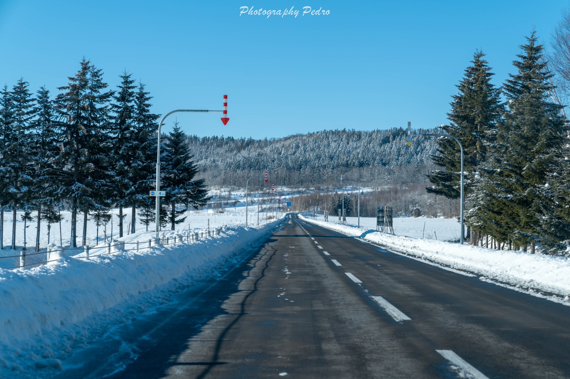 北海道自助遊攻略