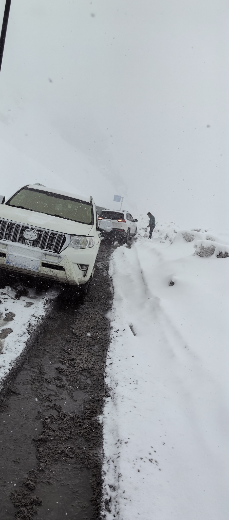 4)工布自然保护区,比巴拉山口,隆子县自助游攻略 - 马蜂窝