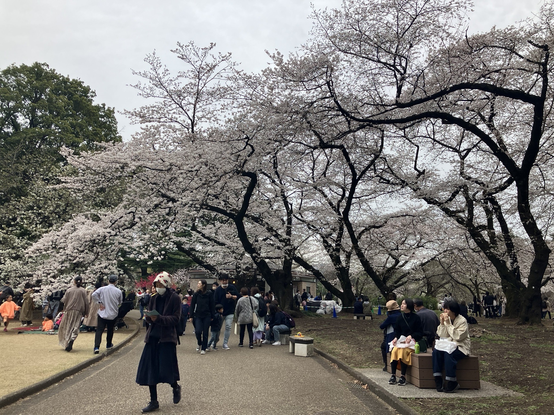 東京自助遊攻略