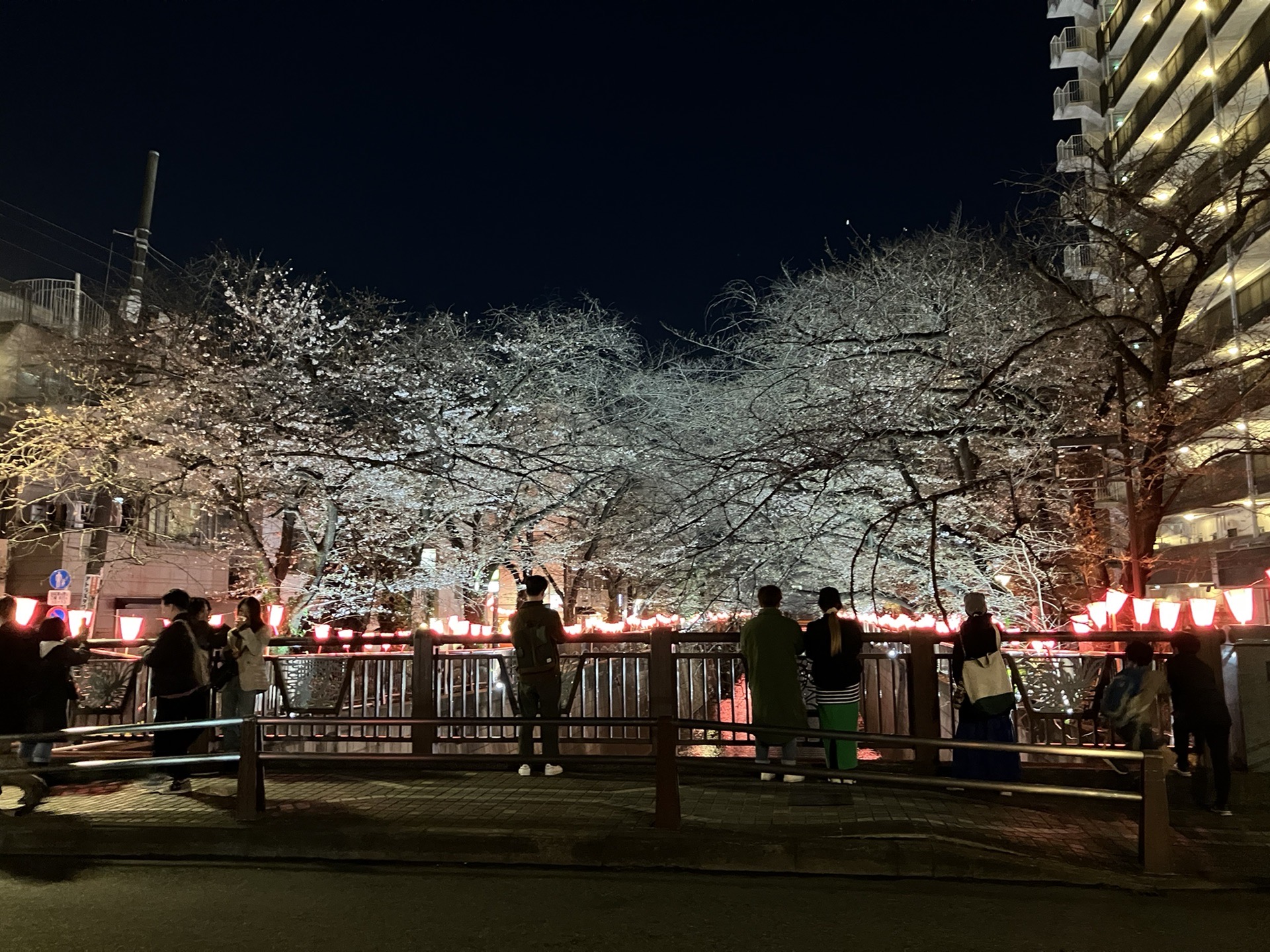 東京自助遊攻略