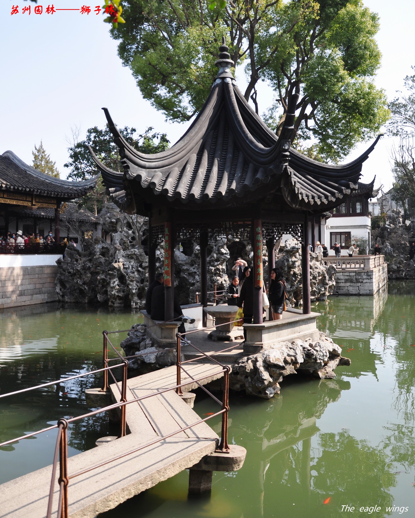 2024年3月下江南——游苏州园林 61 狮子林,苏州四大名园之一
