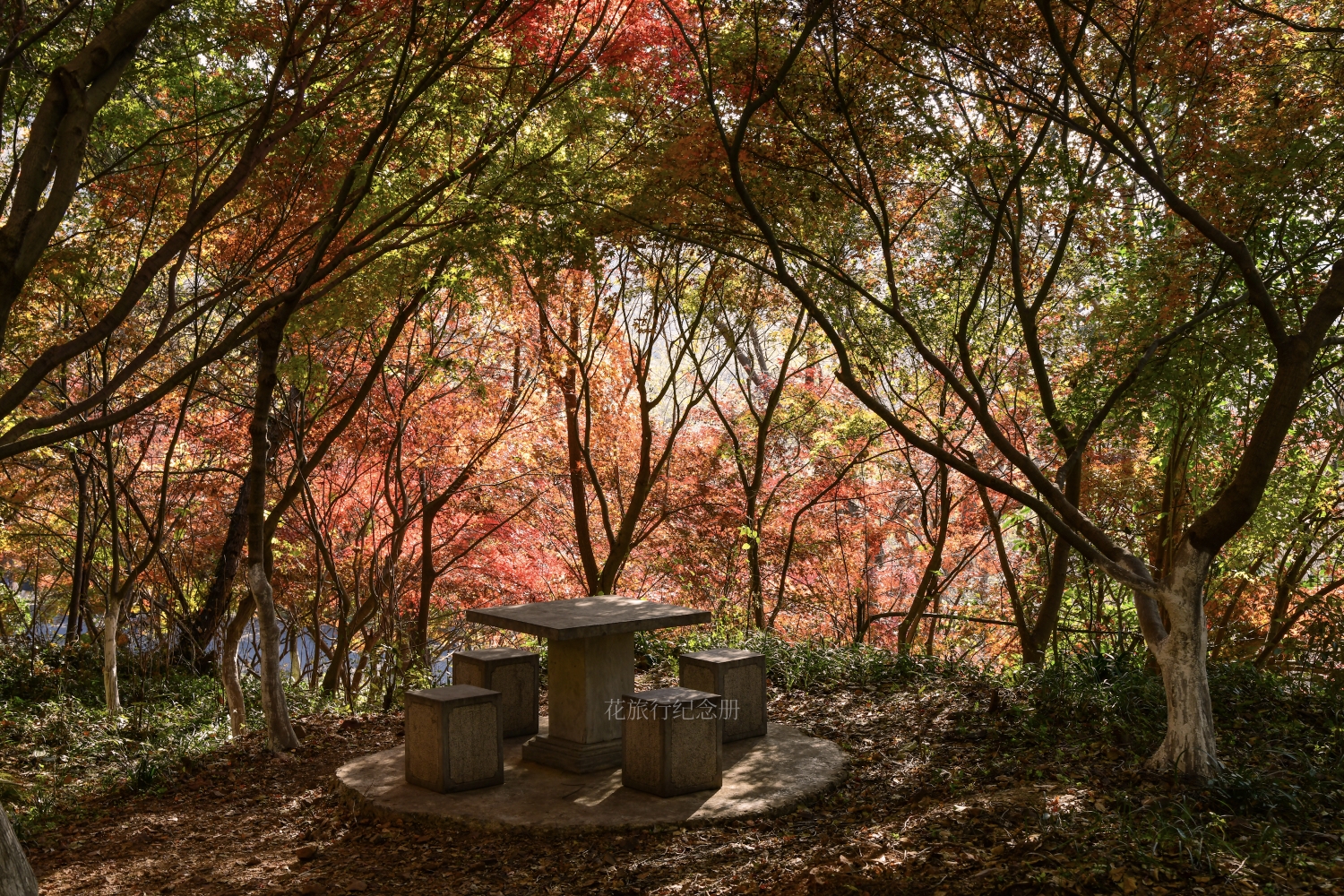 00南門看日出,開始爬山棲霞山棲霞山棲霞山棲霞山棲霞山棲霞山棲霞山