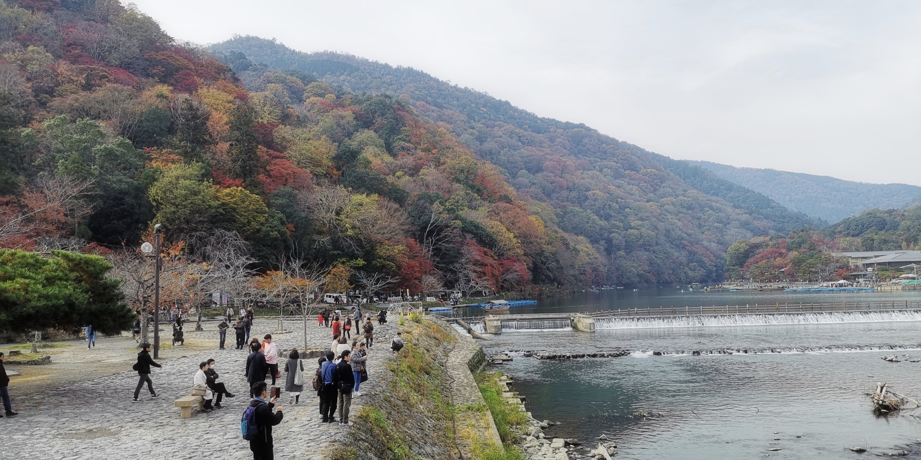 京都自助遊攻略