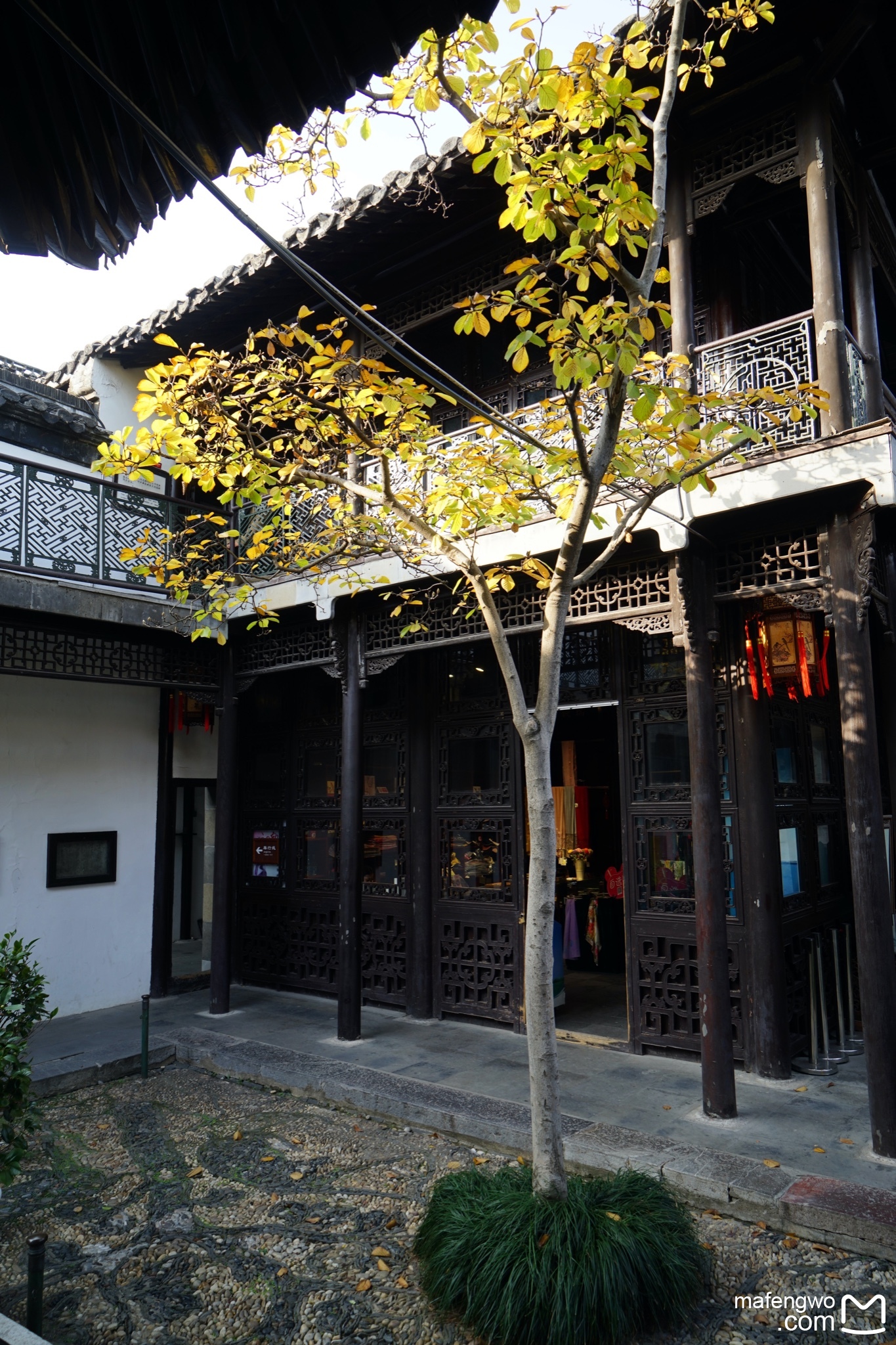 扬州秋色入画来—漫游瘦西湖|何园|大运河博物馆