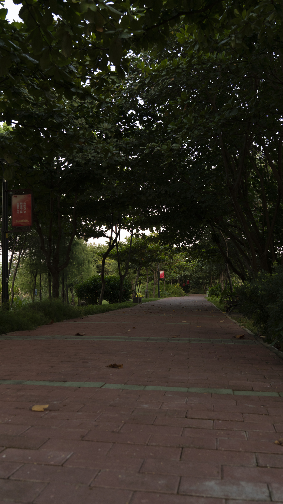 湛江市霞山区公园