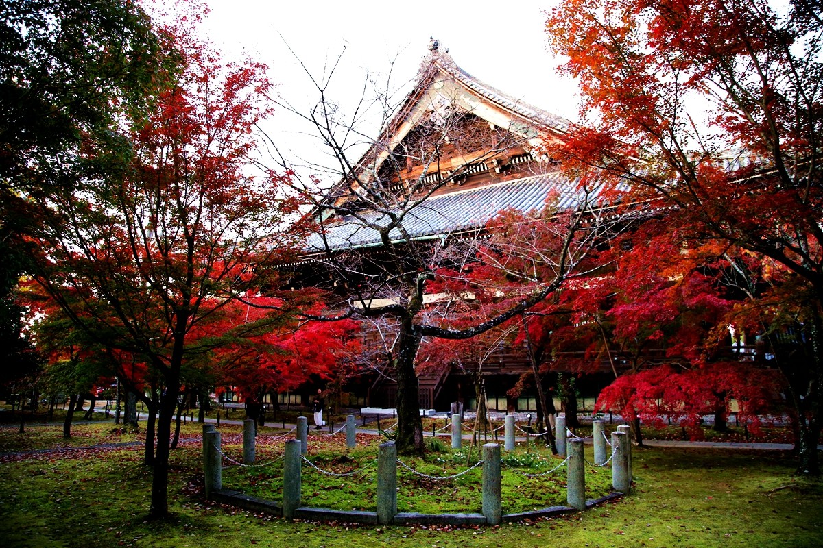 京都自助遊攻略