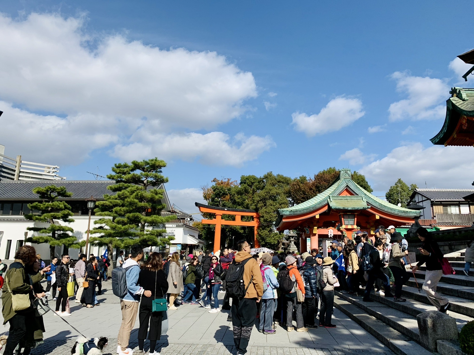 京都自助遊攻略