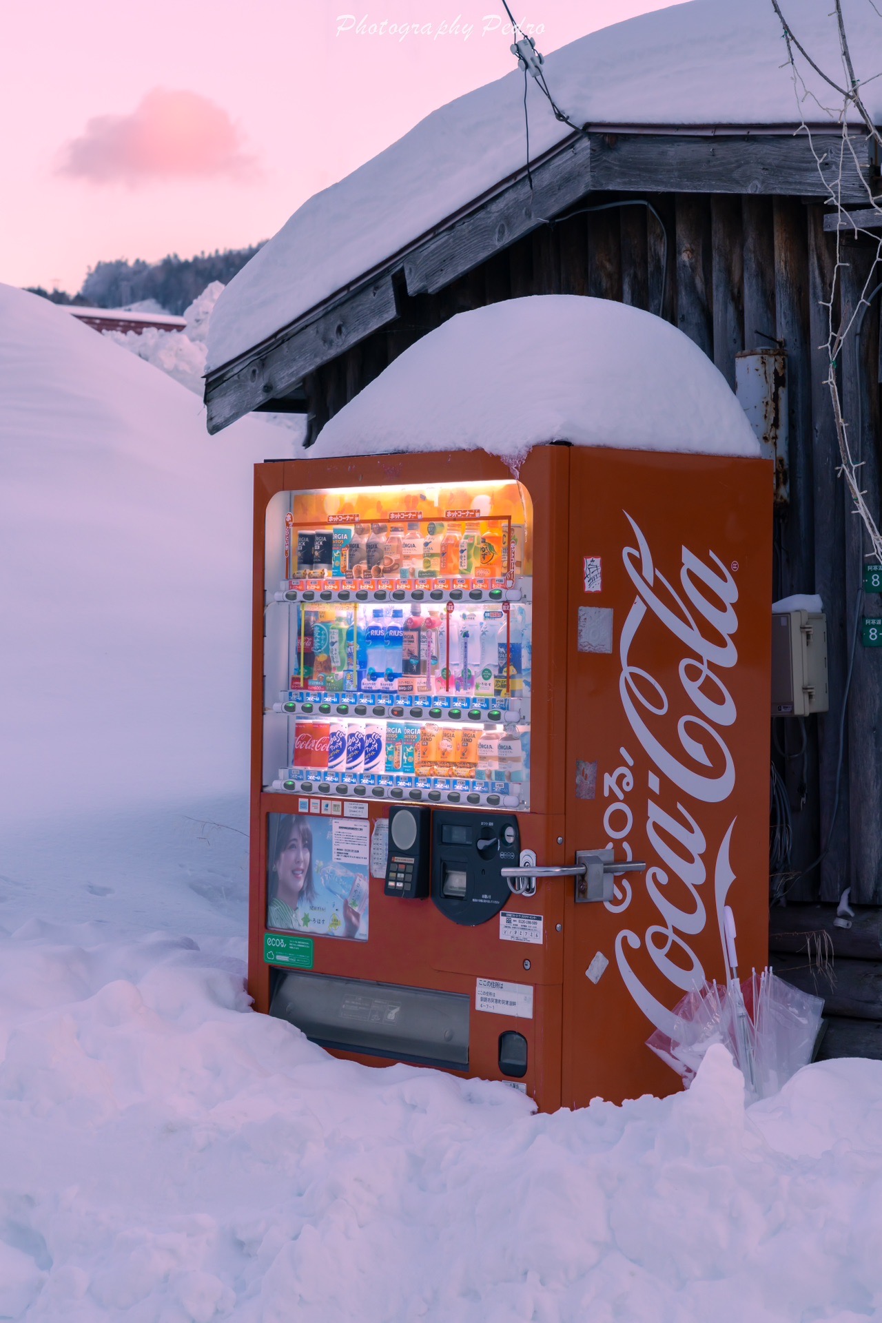 北海道自助遊攻略