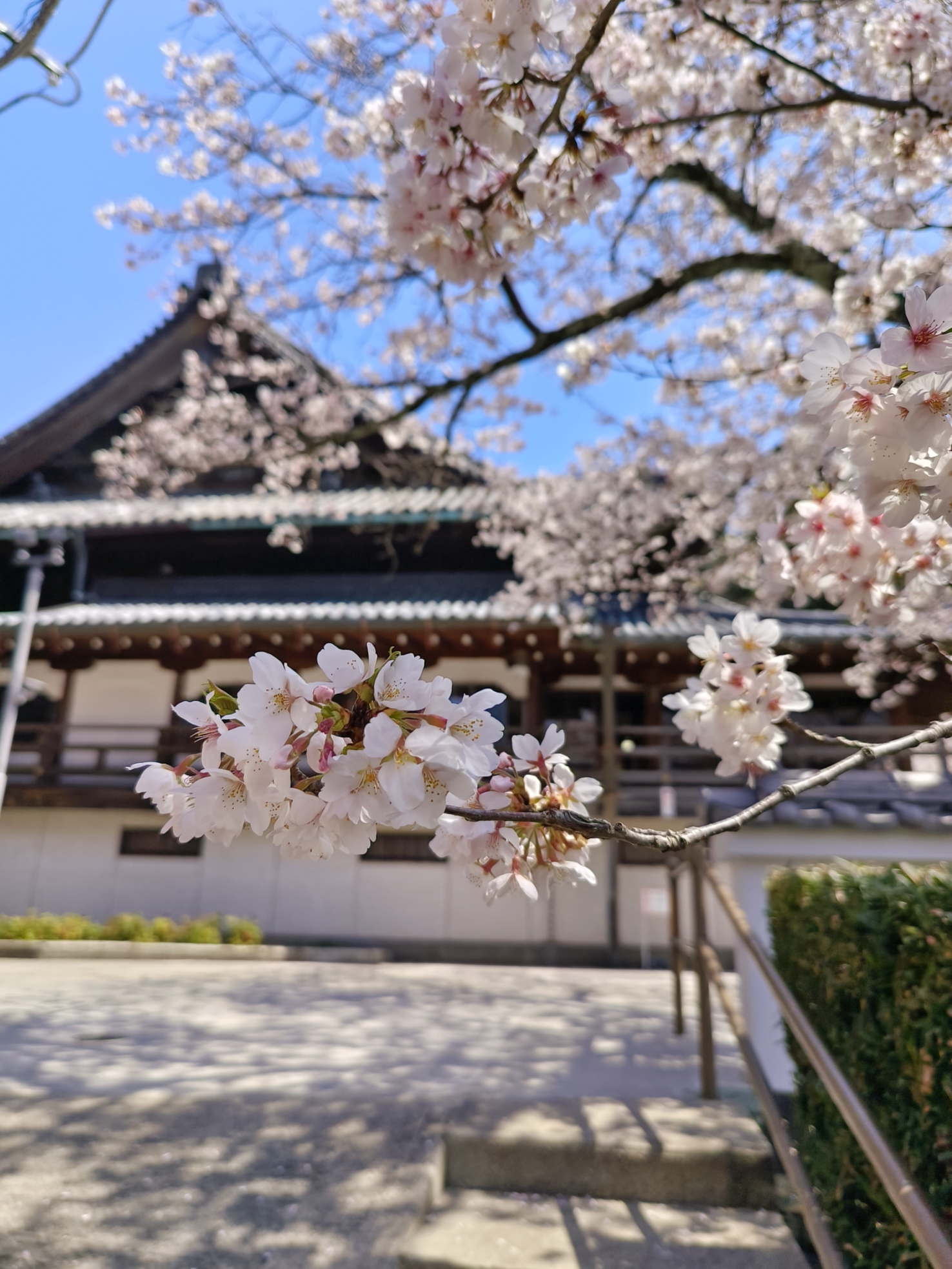 日本自助遊攻略