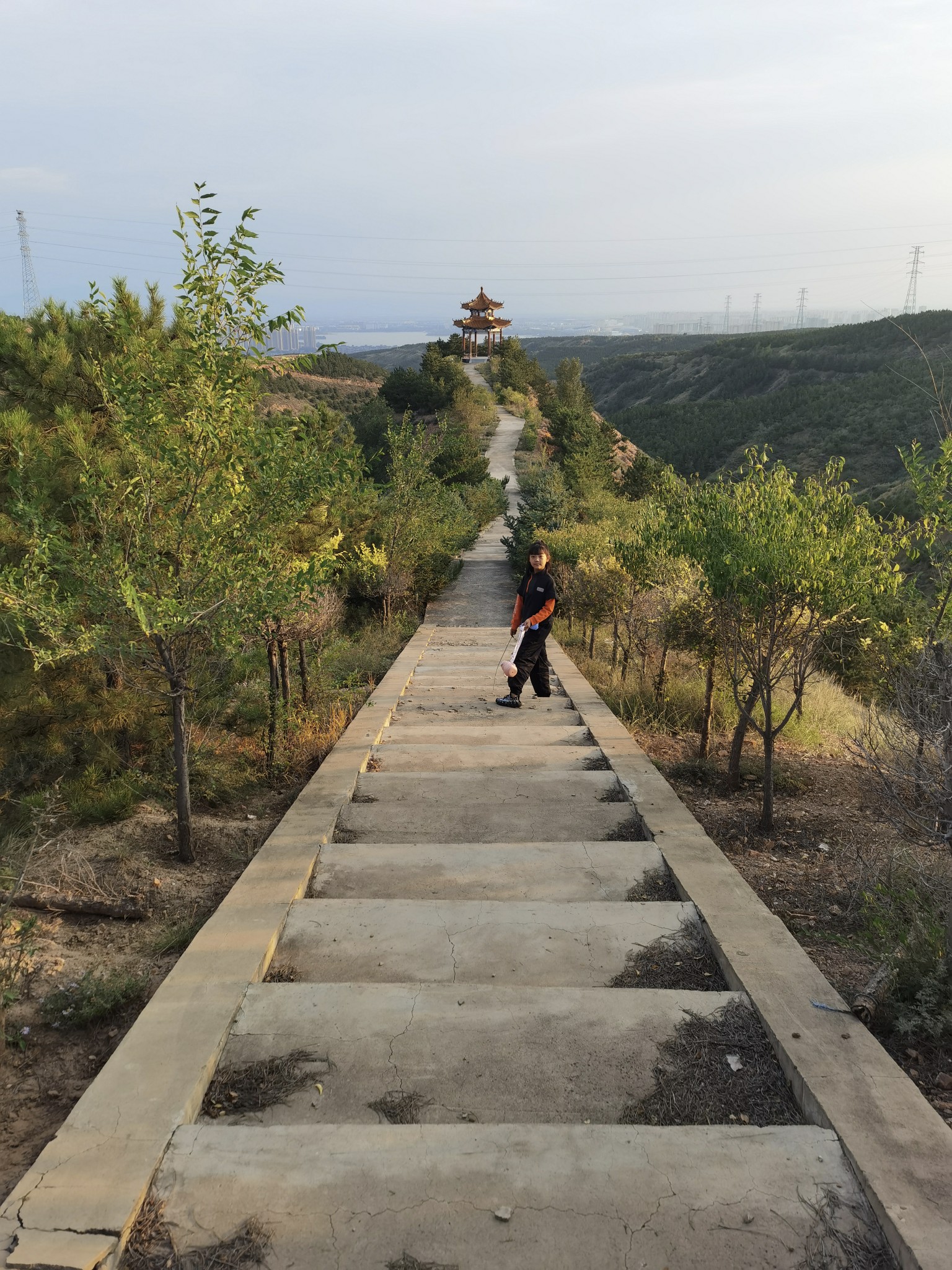 采凉山森林公园图片