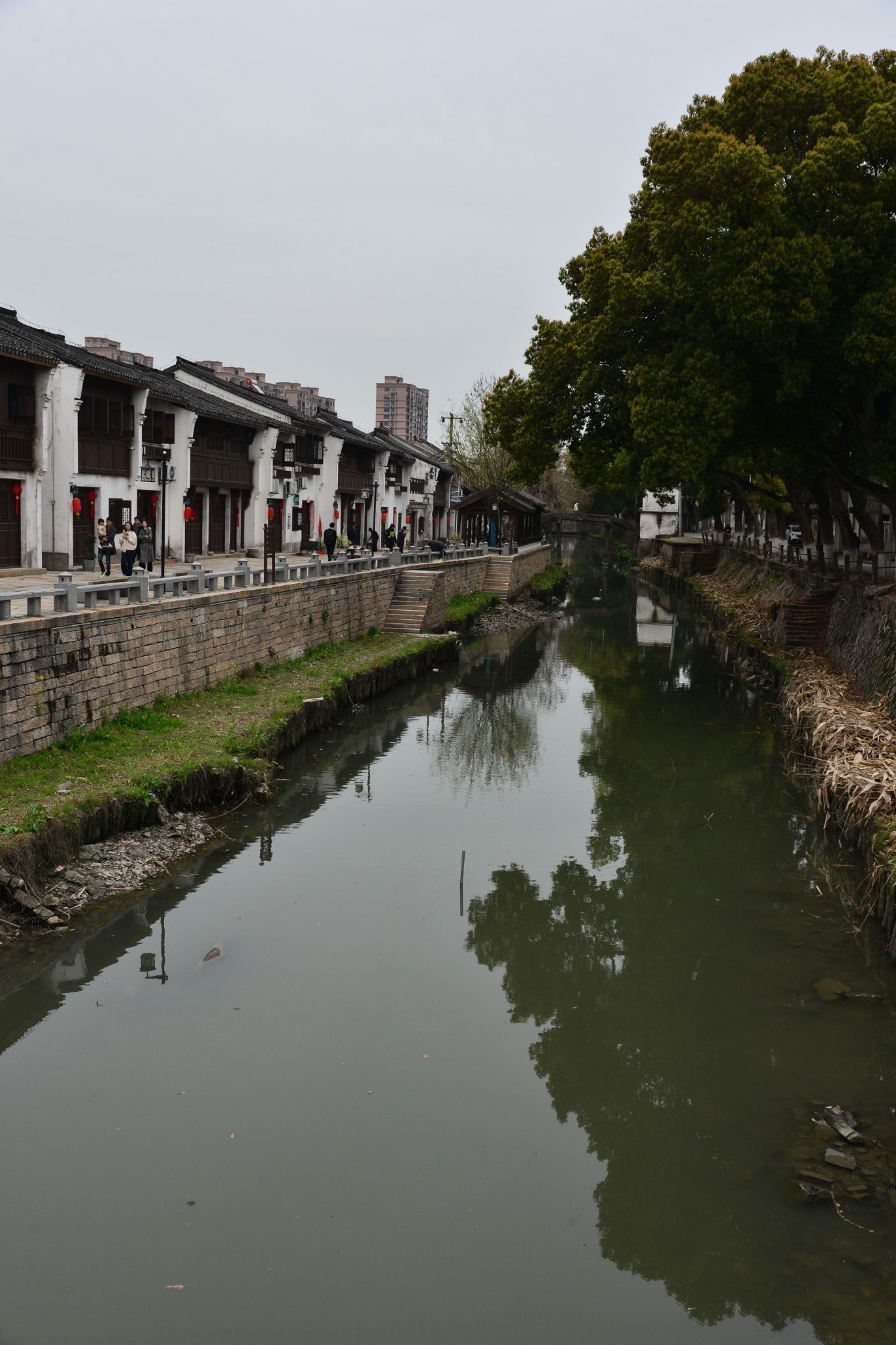 湖州练市图片