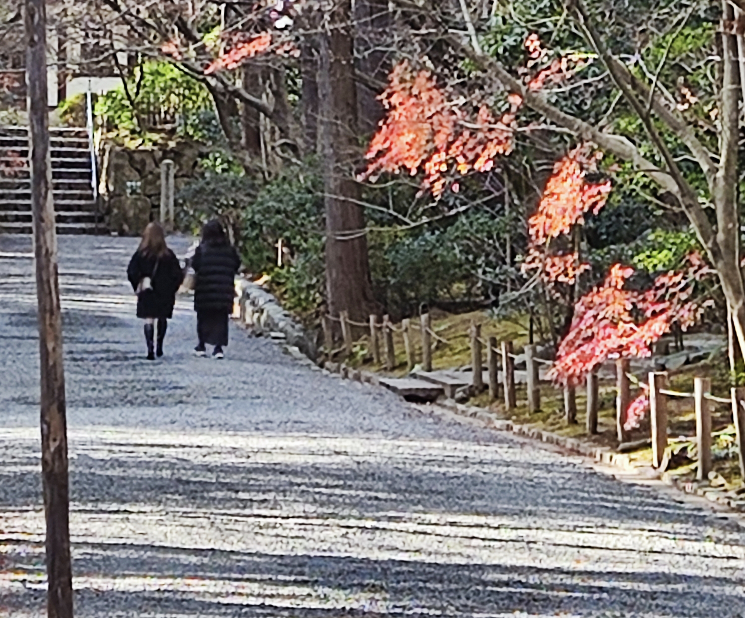 京都自助遊攻略