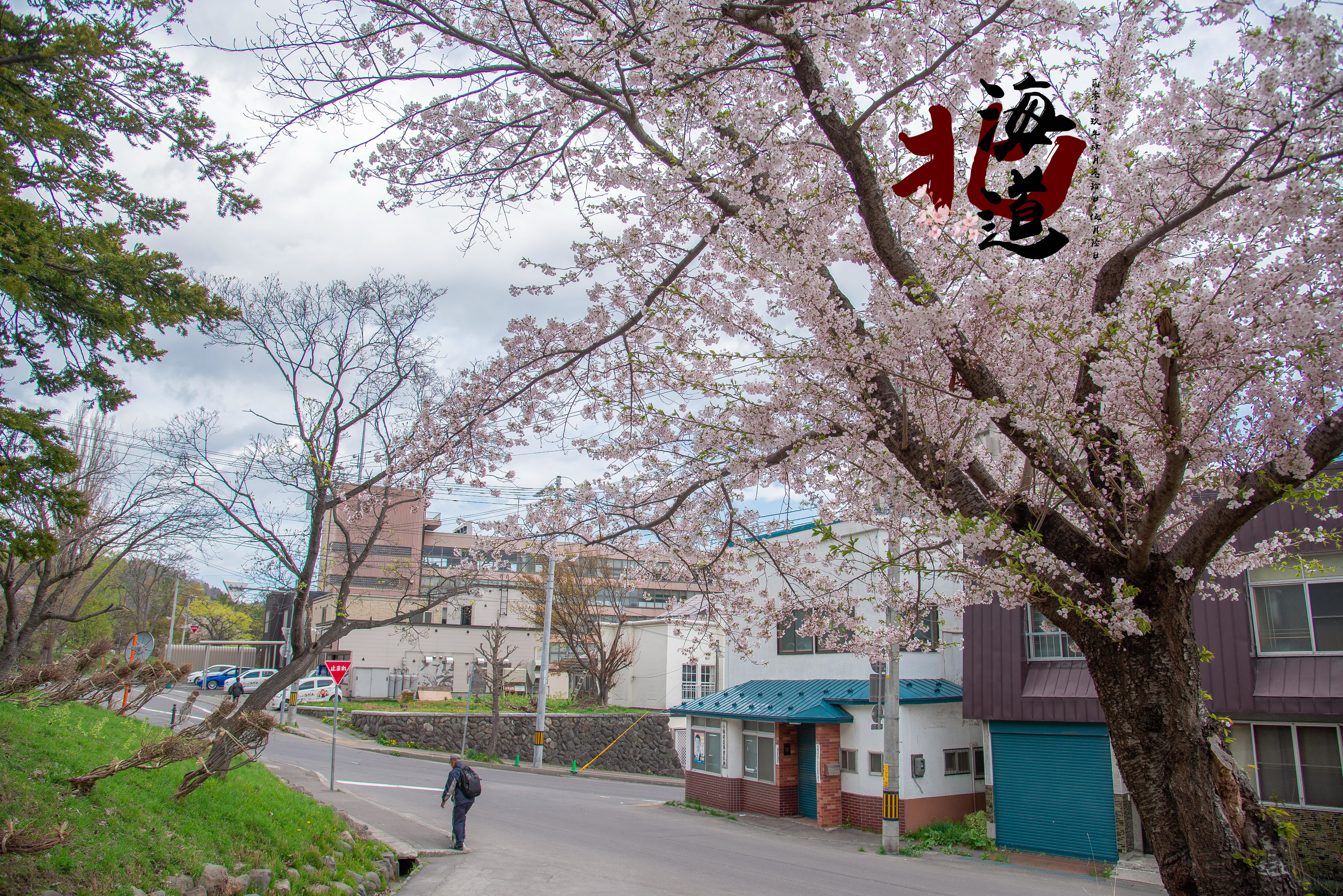 北海道自助遊攻略