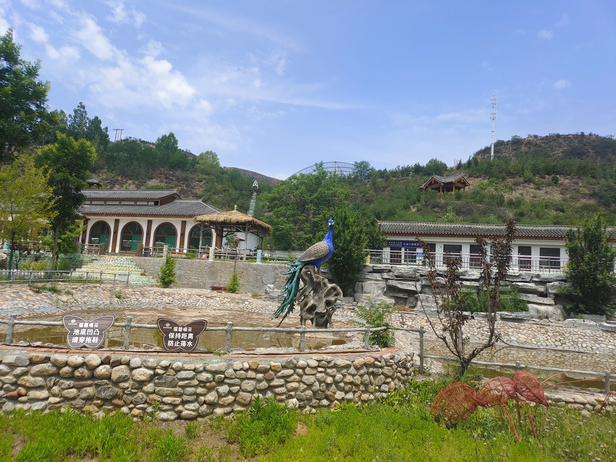 山西娄烦:凤岛孔雀小镇,娄烦旅游攻略