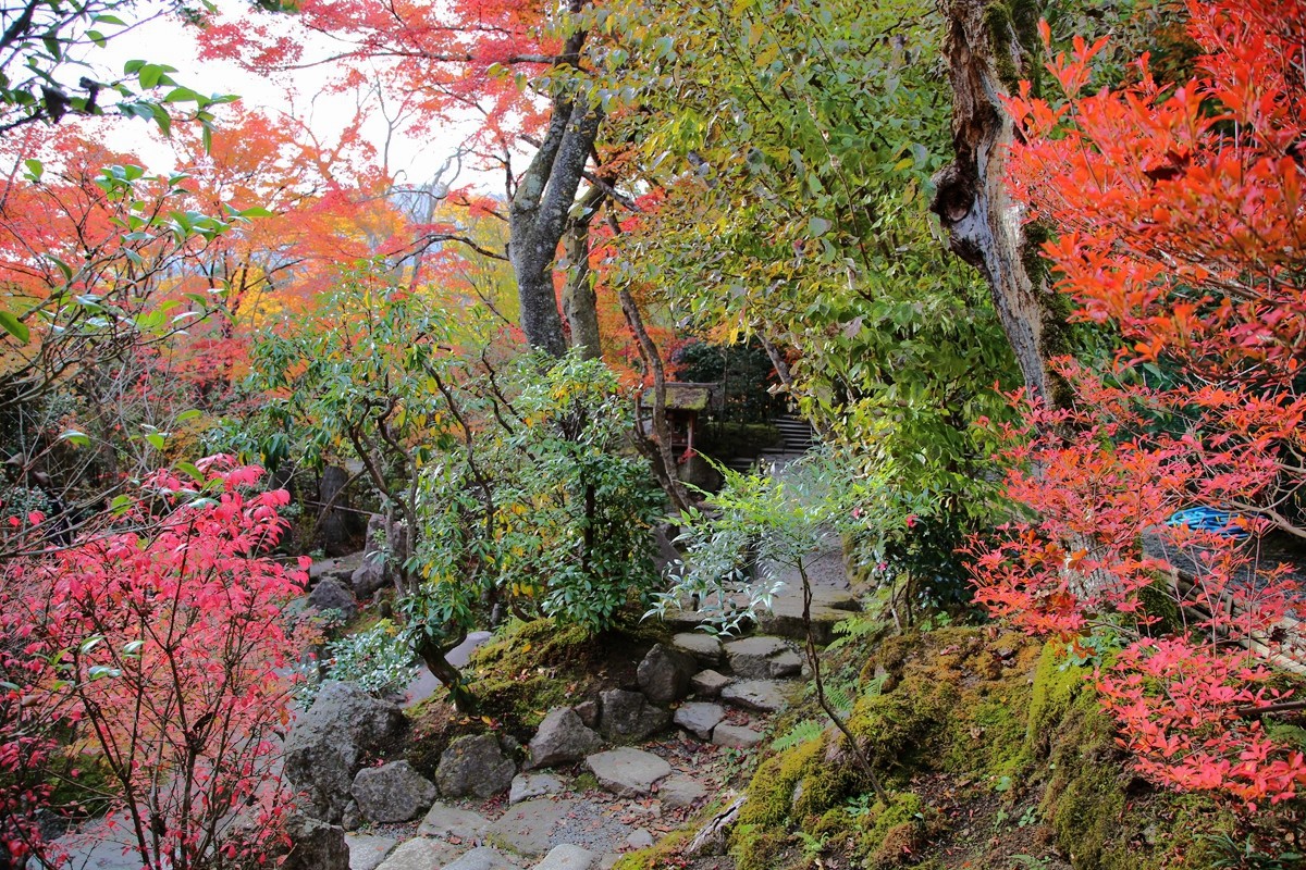 京都自助遊攻略