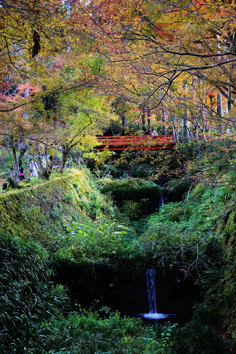 京都自助遊攻略