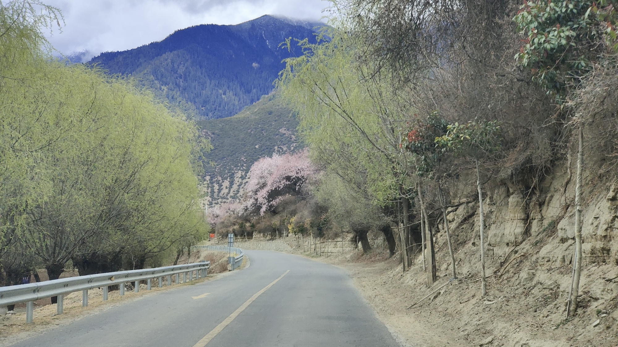 林芝自助遊攻略