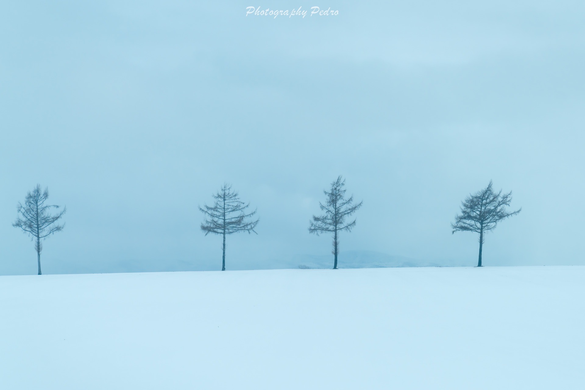 北海道自助遊攻略